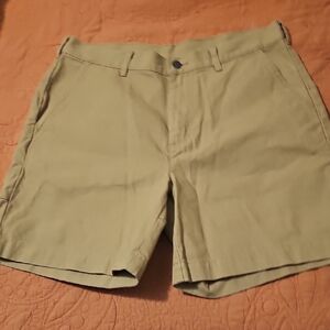 Patagonia Men's Khaki Flat-Front Shorts